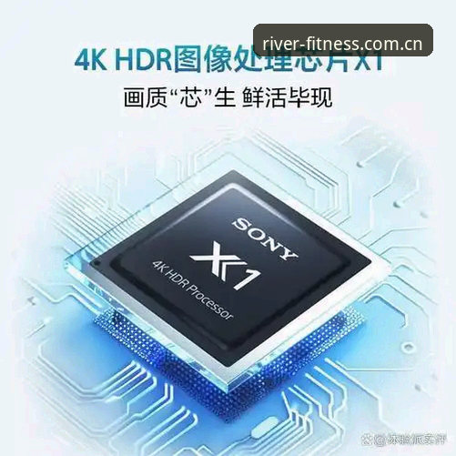 大江体育2026版下载全面解析：从用户体验到技术升级的深度分析
